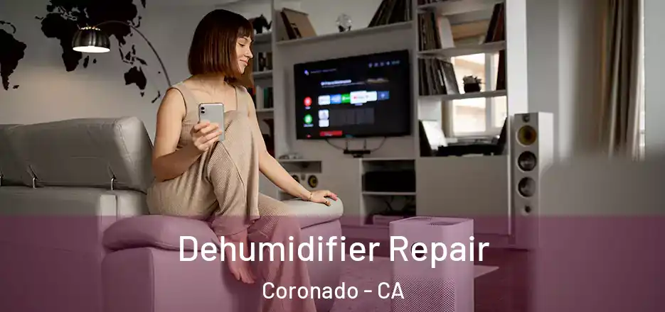 Dehumidifier Repair Coronado - CA