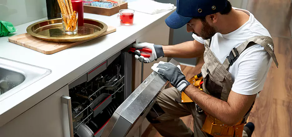 Commercial Dishwasher Repair in Coronado